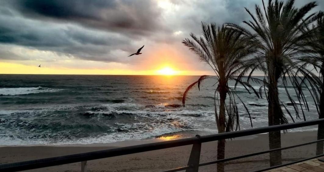 בנאלמדנה El Estudio De La Playa Benalbeach Vistas Al Mar מראה חיצוני תמונה